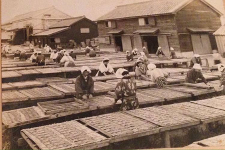 創業当時は、銚子に揚がるマイワシを使った魚肥製造を行っていた