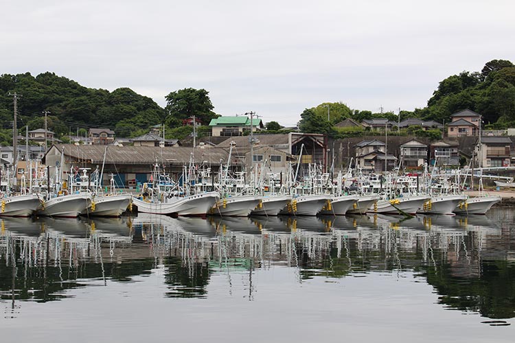 県内随一の施網漁港として年間数万トンの漁獲量を誇る大津港