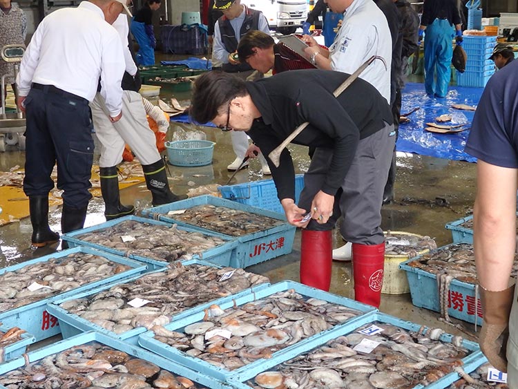 タコの買い付け。仕事で一番楽しいのは「良い魚が仕入れられた時」