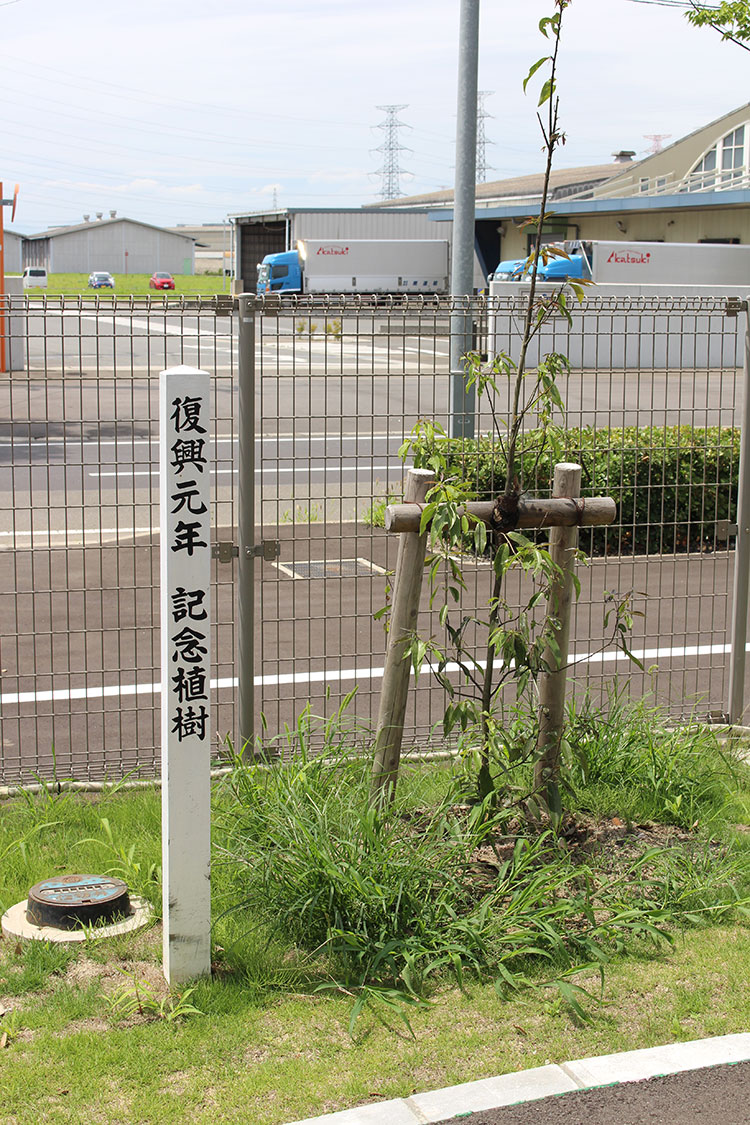 本社の敷地内には、震災を忘れないよう記念植樹が