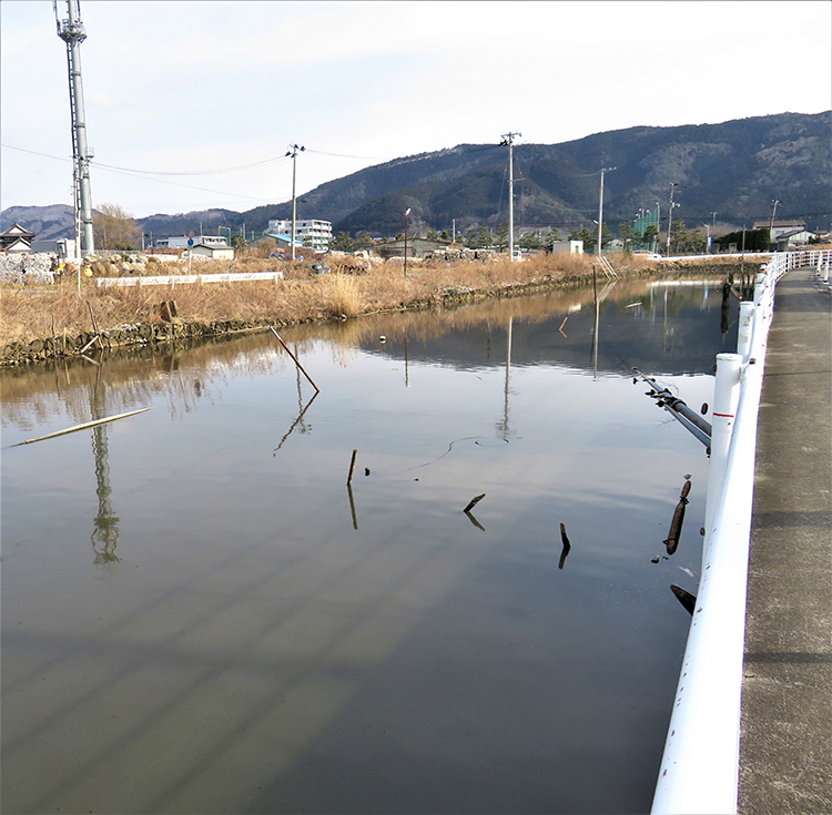 毎日、満潮になるたびに水があふれた堀。現在は水を堰き止めている