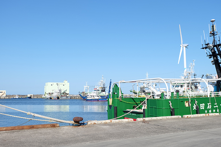 毎日、徳久さんが買い付けに通う波崎新港。漁港内には波崎漁協組合が2005年に稼働を開始した風力発電施設を設置（漁港内に建つのは日本で唯一）、漁港で使う電力が、地産地消のクリーンエネルギーでまかなわれている