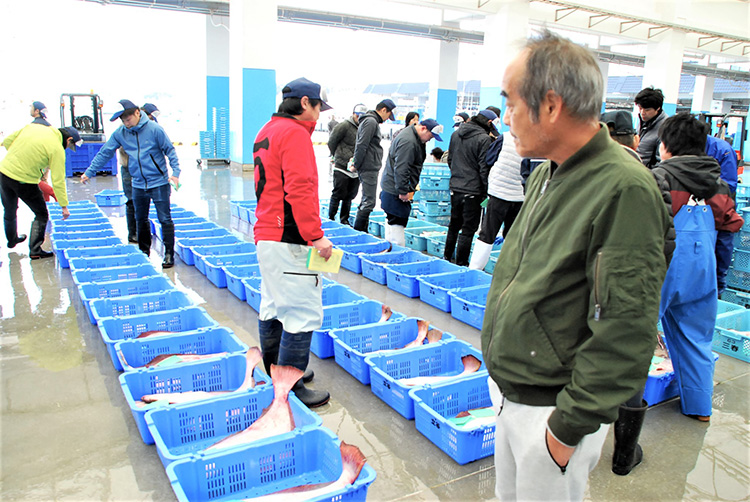 市場の仕入れは長男に任せているが時折顔を出す（相馬原釜地方卸売市場で）