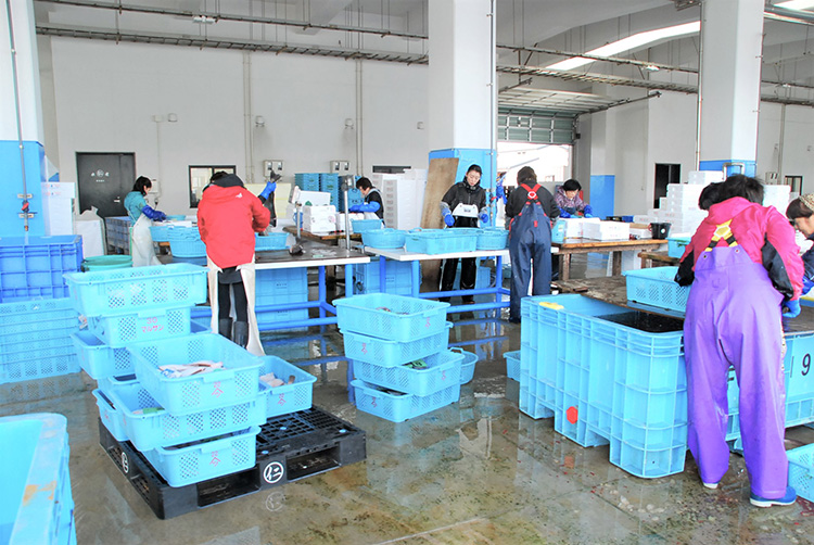 相馬原釜魚市場併設の作業場。鮮魚は買ってすぐに箱詰めされる