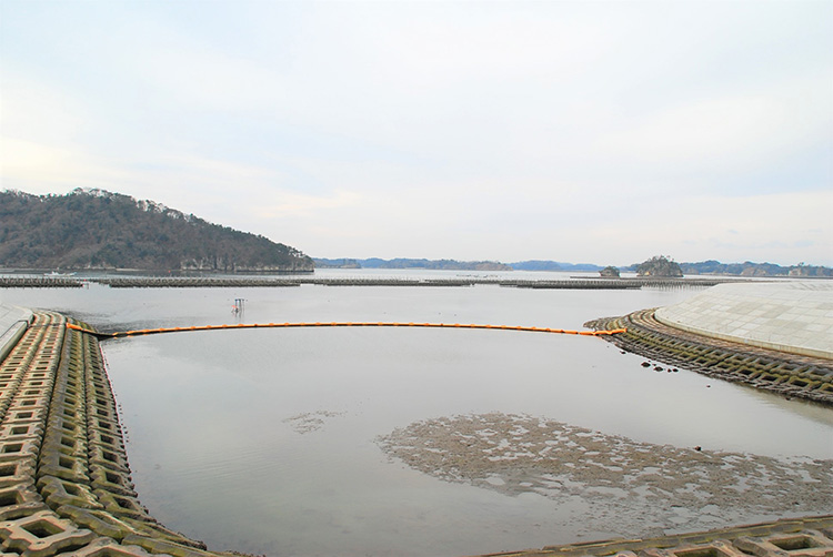 長石商店本社工場前の防潮堤から望む松島湾