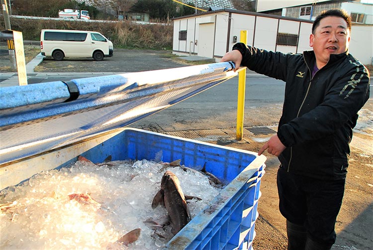 加工とともに、ルーツである鮮魚にも力を入れ続ける