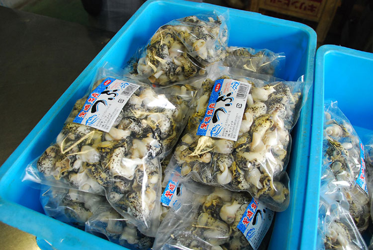 注文が増えているヤマコイチのツブ貝