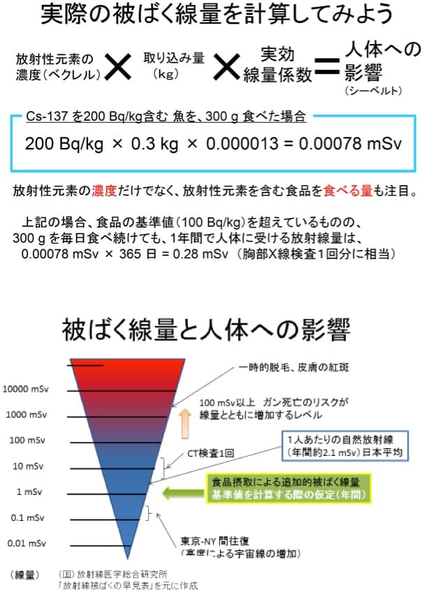 実際の被ばく線量を計算してみよう