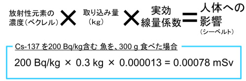 Cs-137を200Bg/kg含む魚を、300g食べた場合